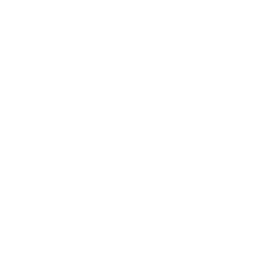 Convenient icon